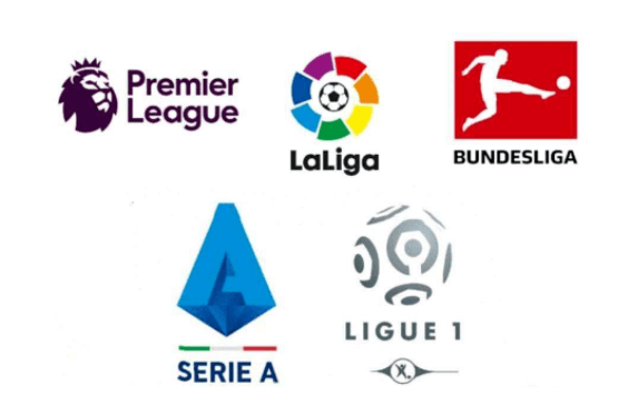 他们所展现 他们所展现